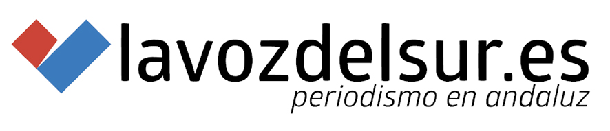 La Voz del Sur
